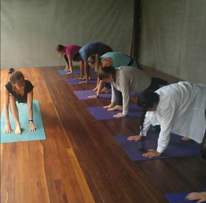 Trindade Sea And Forest Yoga Hostel Экстерьер фото