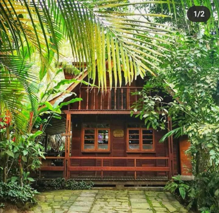 Trindade Sea And Forest Yoga Hostel Экстерьер фото