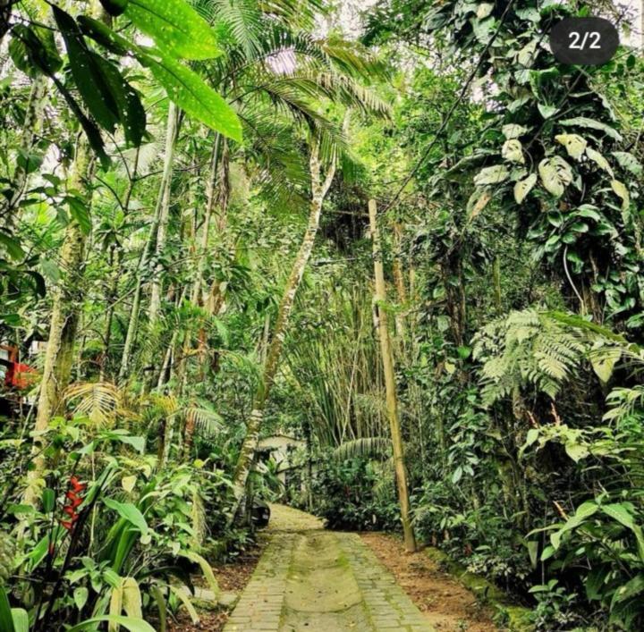 Trindade Sea And Forest Yoga Hostel Экстерьер фото