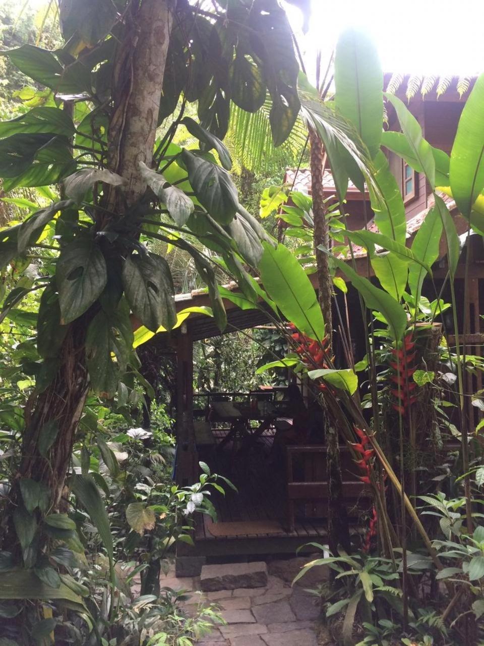 Trindade Sea And Forest Yoga Hostel Экстерьер фото